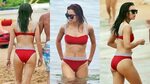 Hailee Steinfeld in Bikini - Body, Height, Weight, Nationali